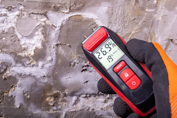 Best Mold Inspection  in Sheridan, CA