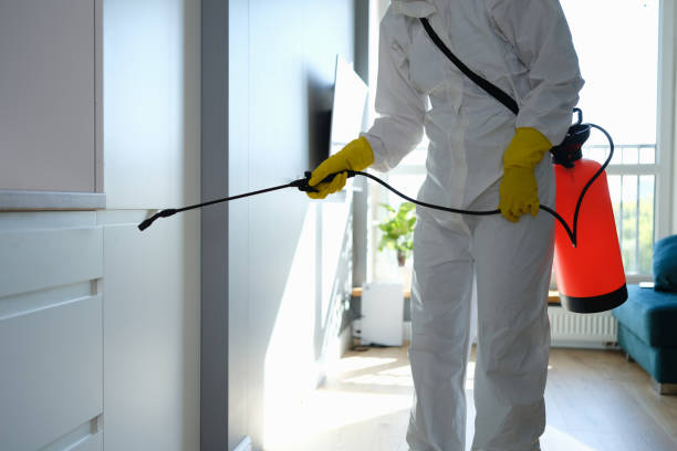 Best Home Mold Removal  in Sheridan, CA